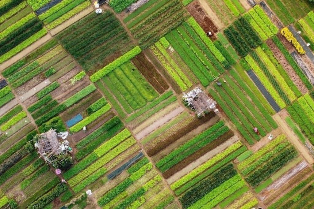 Flora Villa Hội An Ngoại thất bức ảnh