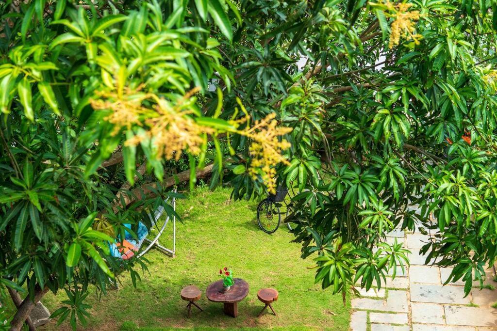 Flora Villa Hội An Ngoại thất bức ảnh